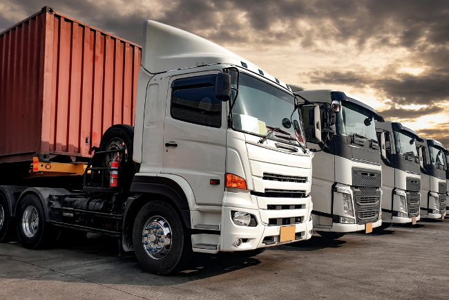 A group of trucks parked in a lot, showcasing various colors and sizes under a clear blue sky.