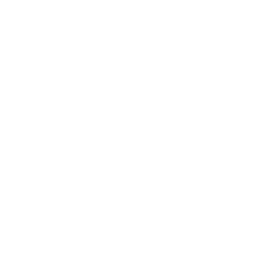 An icon that represents security